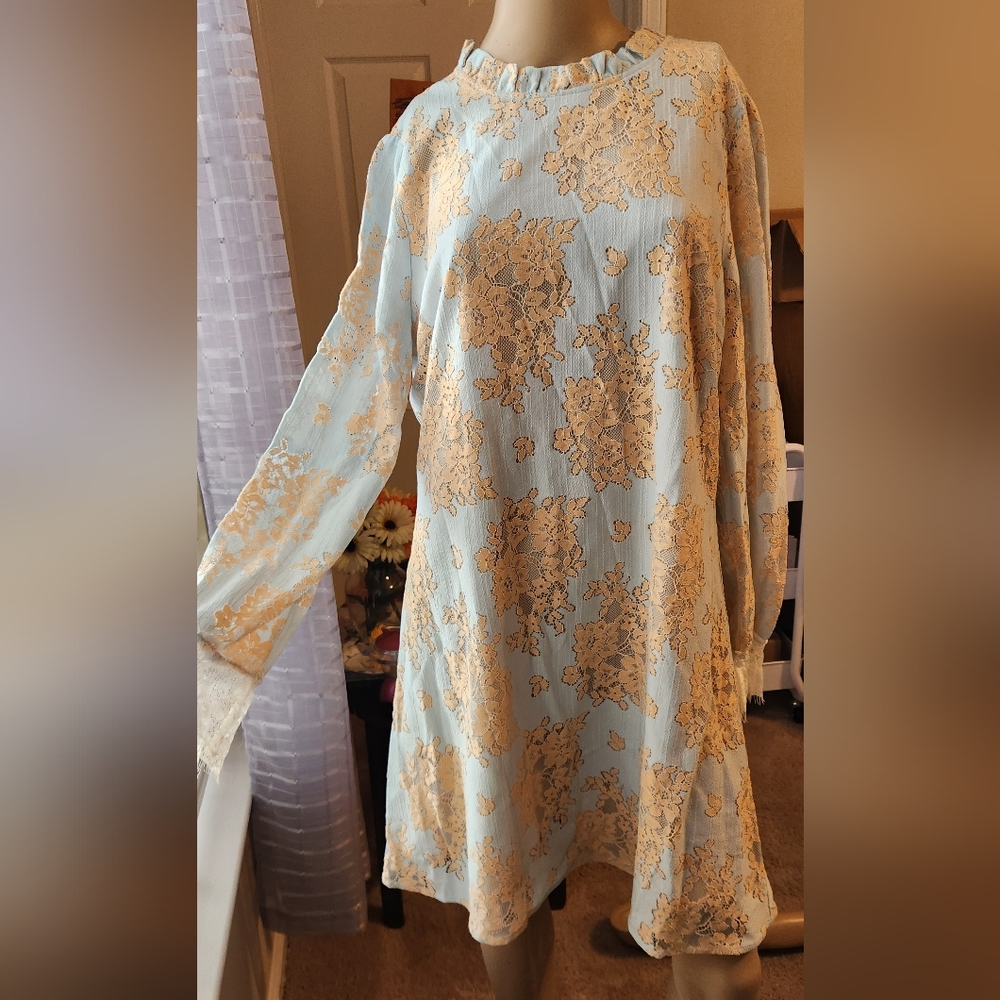 Floral Lace Overlay Dress